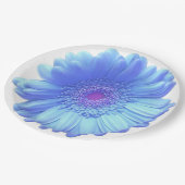 青いガーベラのデイジー ペーパープレート (アングル)