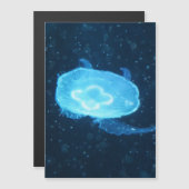 青いクラゲ (正面/裏面)