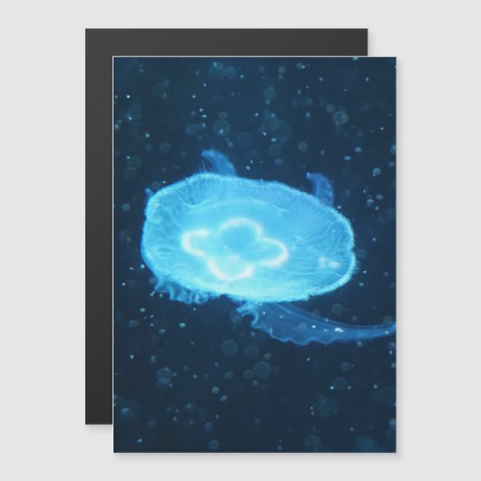 青いクラゲ (正面/裏面)