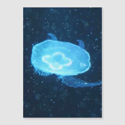 青いクラゲ (正面)