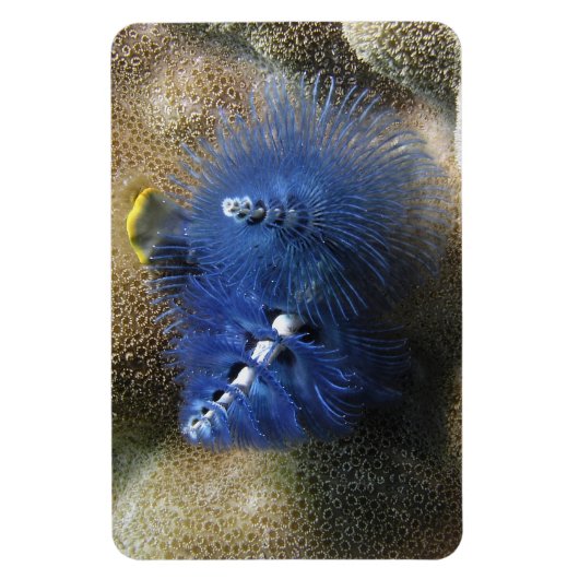 青いクリスマスツリーのワーム！磁石だ！ マグネット (縦)