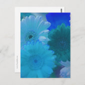 青いゲルバダイジーの花の写真アートポストカード ポストカード (正面/裏面)