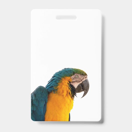 青いコンゴウインコ バッジ (正面)