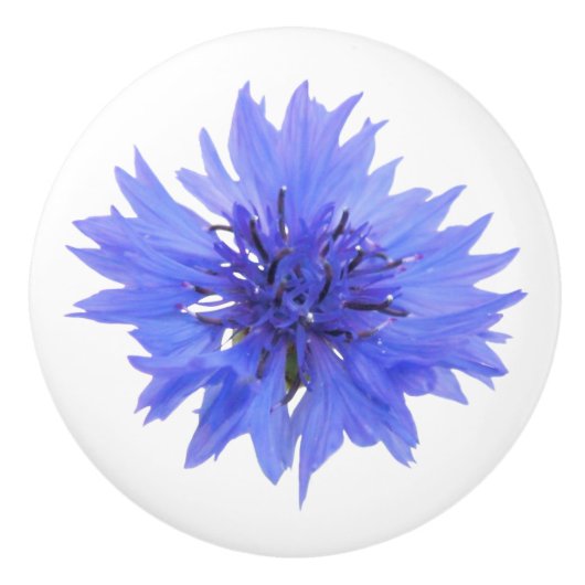 青いコーンフラワードアノブ セラミックノブ (正面)