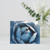 青いサボテンのポストカード ポストカード (スタンド正面)