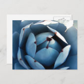 青いサボテンのポストカード ポストカード (正面/裏面)