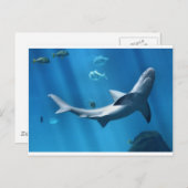 青いサメ海 ポストカード (正面/裏面)