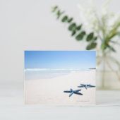 青いサンゴタカハシ ポストカード (スタンド正面)