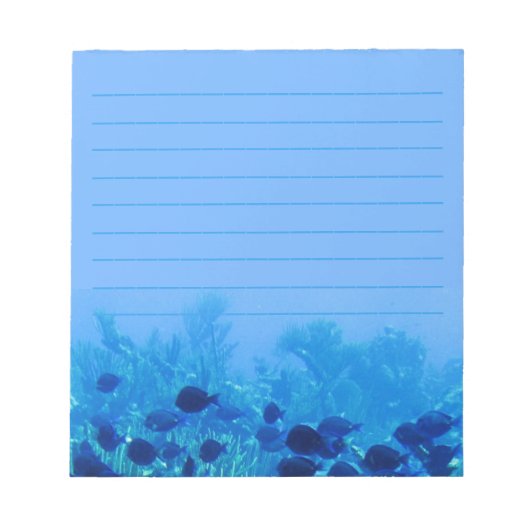 青いジスカスの魚の群れが青く並ぶ ノートパッド (正面)