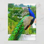 青いスタイリッシュ緑の孔雀の写真は常に輝く ポストカード (正面)