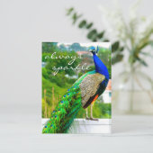 青いスタイリッシュ緑の孔雀の写真は常に輝く ポストカード (スタンド正面)