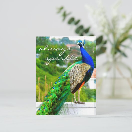 青いスタイリッシュ緑の孔雀の写真は常に輝く ポストカード (スタンド正面)
