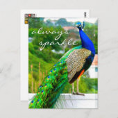 青いスタイリッシュ緑の孔雀の写真は常に輝く ポストカード (正面/裏面)
