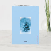 青いスプリースのクリスマスイブの写真 シーズンカード (裏面)