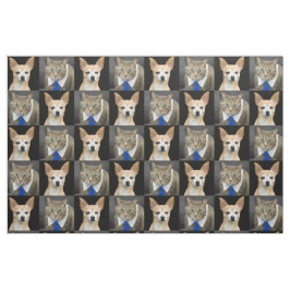 青いタイを持つベージュチワワそして灰色の虎猫猫 ファブリック
