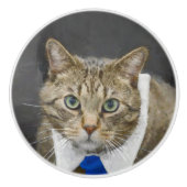 青いタイを身に着けているかわいい緑色の目の茶色の虎猫猫 セラミックノブ (正面)