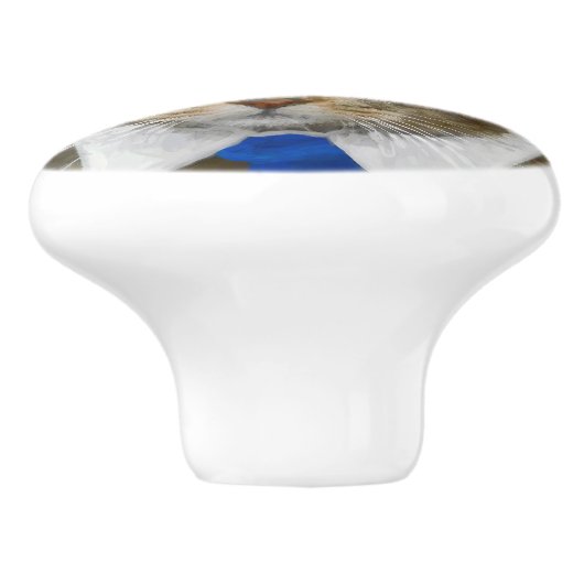 青いタイを身に着けているかわいい緑色の目の茶色の虎猫猫 セラミックノブ (側面)