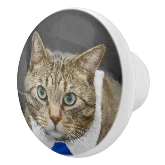 青いタイを身に着けているかわいい緑色の目の茶色の虎猫猫 セラミックノブ (右)