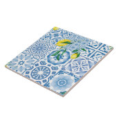 青いタイル，モザイク，マジョリカ， タイル (側面)