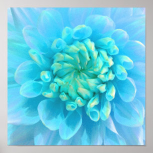 青いターコイズの花(水色) ポスター