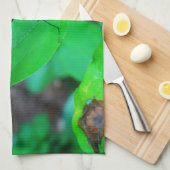 青いダンセルフライは緑の葉の上に。 キッチンタオル (四つ折り)