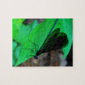 青いダンセルフライは緑の葉の上に。 ジグソーパズル (横)