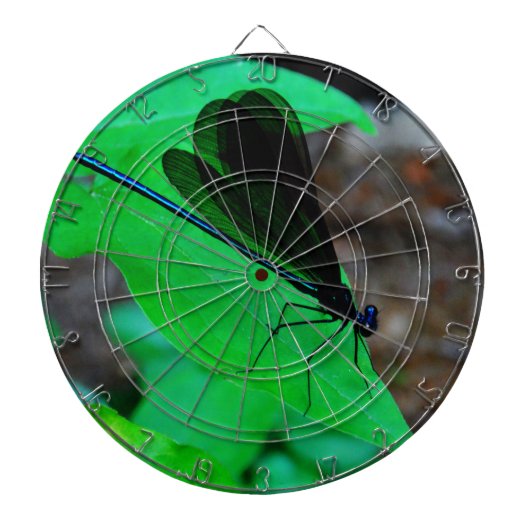 青いダンセルフライは緑の葉の上に。 ダーツボード (正面)