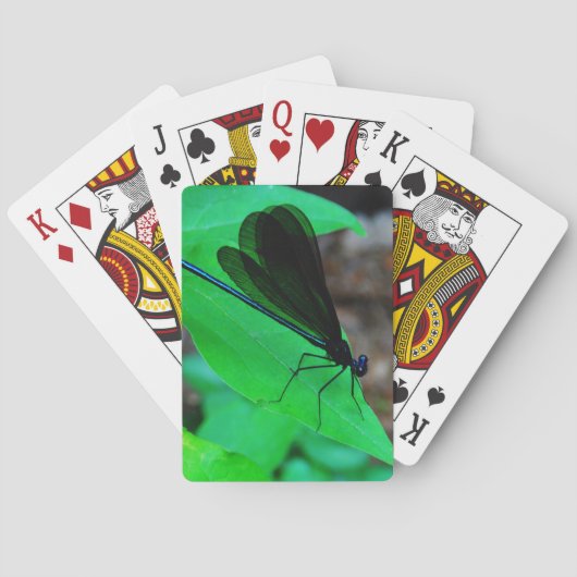 青いダンセルフライは緑の葉の上に。 トランプ (裏面)