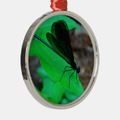 青いダンセルフライは緑の葉の上に。 メタルオーナメント (右)