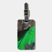 青いダンセルフライは緑の葉の上に。 ラゲッジタグ (正面縦)