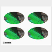 青いダンセルフライは緑の葉の上に。 楕円形シール (シート)