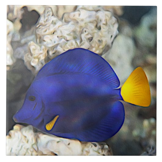 青いチョウチョウウオさんと珊瑚礁の海の魚 タイル (正面)