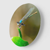 青いテキサス州・ダンセルフライ（木の葉に浮かぶ） ラージ壁時計 (傾斜)