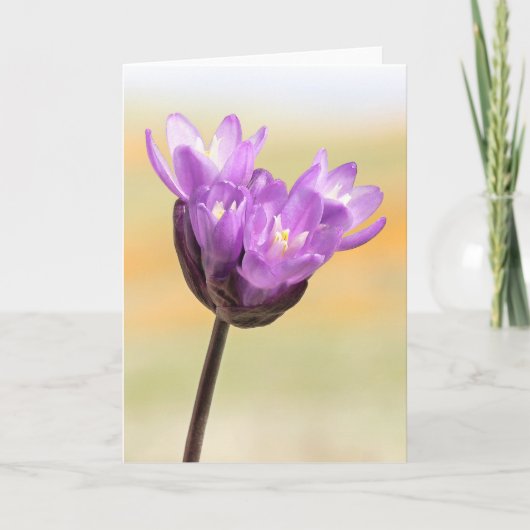 青いディックの野草 カード (正面)