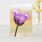 青いディックの野草 カード (黄色い花)