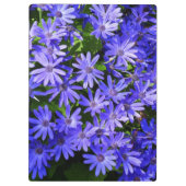 青いデイジーのような花の自然写真 クリップボード (裏面)