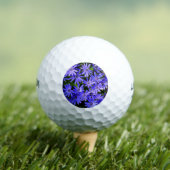 青いデイジーのような花の自然写真 ゴルフボール (インサイチュ 木)