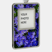 青いデイジーのような花の自然写真 シルバープレートフレームオーナメント (右)