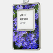 青いデイジーのような花の自然写真 シルバープレートフレームオーナメント (左)