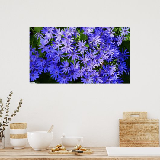 青いデイジーのような花の自然写真 ポスター (キッチン)