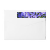 青いデイジーのような花の自然写真 ラップアラウンドラベル (裏面)