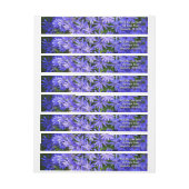 青いデイジーのような花の自然写真 ラップアラウンドラベル (シート)