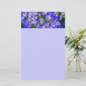 青いデイジーのような花の自然写真 便箋 (スタンド正面)