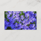 青いデイジーのような花の自然写真 名刺 (裏面)