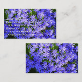 青いデイジーのような花の自然写真 名刺 (正面/裏面)