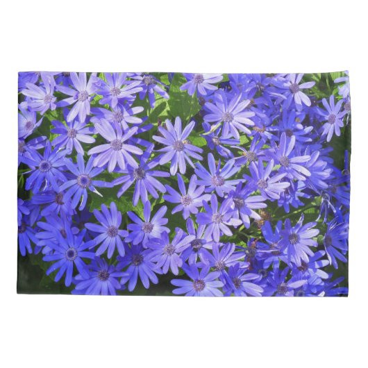 青いデイジーのような花の自然写真 枕カバー (裏面)