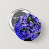 青いデイジーのような花の自然写真 缶バッジ (正面&裏面)