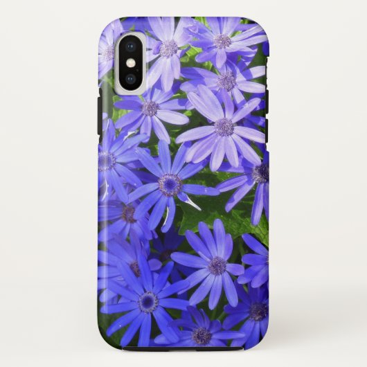 青いデイジーのような花の自然写真 Case-Mate iPhoneケース (裏面)