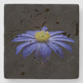 青いデイジーガーベラの花と黒い背景 ストーンコースター (正面)