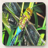 青いトンボきらめく翼絵画の コースター (正面)